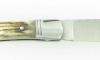 Laguiole Cerf 2